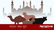 কুরবানির পশু বাছাইয়ে ইসলামের নির্দেশনা