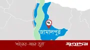 জামালপুরে লিচুর বিচি গলায় আটকে শিশুর মৃত্যু