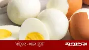 গরমে ডিম খেলে শরীরের তাপমাত্রা বাড়ে? বিশেষজ্ঞ যা বললেন