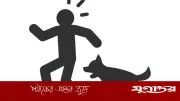 গাইবান্ধায় পাগলা কুকুরের কামড়ে চারজনের মৃত্যু, ভ্যাকসিন সংকটে আতঙ্ক