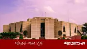 জাতীয় সংসদে বেসরকারি সদস্যদের ৯ বিল পাসের তথ্য কমিটিতে প্রকাশ