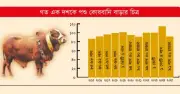 ঈদুল আজহাকে কেন্দ্র করে দেশে কোরবানির বাজার এখন বিশাল অর্থনীতি