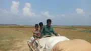 হাওরে ফসলহানি: কৃষক আবদুল জাহানের সংকটের গল্প