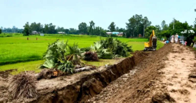সিরাজগঞ্জে বজ্রপাত প্রতিরোধে রোপিত ২০টি তালগাছ উপড়ে ফেলার অভিযোগ