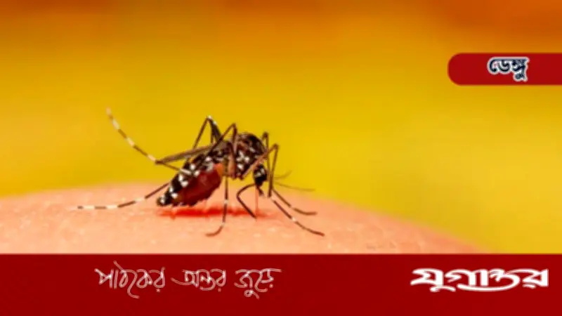 ২৪ ঘণ্টায় ডেঙ্গুতে একজনের মৃত্যু, হাসপাতালে ১৩৯ জন