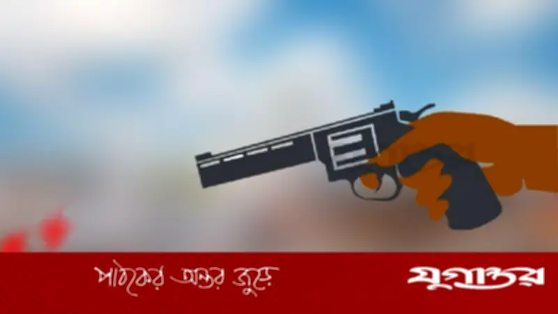 ঝালকাঠিতে ৩৩ আগ্নেয়াস্ত্রের লাইসেন্স বাতিল, অধিকাংশ আ.লীগ নেতার