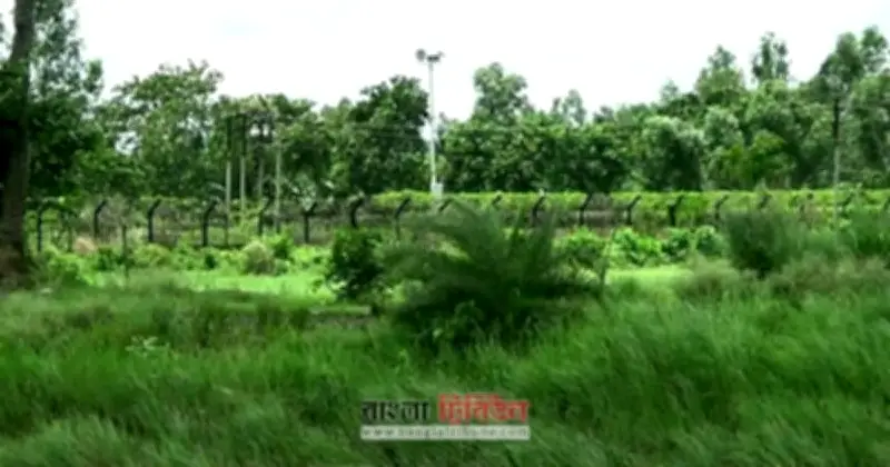 শেরপুর সীমান্তে ভারতে যাওয়ার চেষ্টায় ৯ বাংলাদেশি আটক, ৪ শিশু