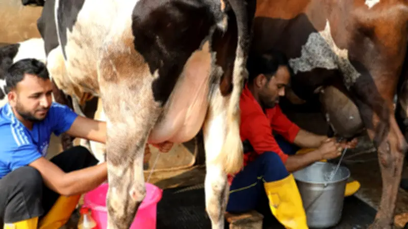 শাহজাদপুরে আবেদীন ডেইরি ফার্মের সাফল্যের গল্প