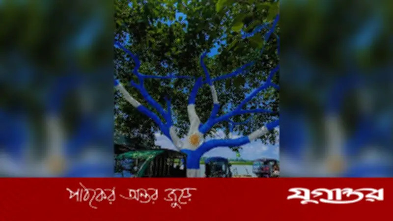 হবিগঞ্জে আর্জেন্টিনার পতাকার আদলে গাছ সাজিয়ে উন্মাদনা