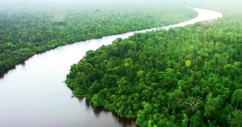 সুন্দরবনে তিন মাস প্রবেশ নিষিদ্ধ, উন্মুক্ত থাকবে করমজল