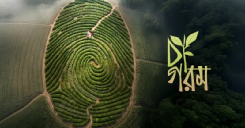 চা-গরম: উন্নয়ন ও বিনোদনের মিথ ভাঙার গল্প