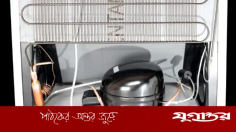 বিদ্যুৎ ফিরলেই ফ্রিজ চালু করছেন? কম্প্রেসার নষ্টের ঝুঁকি