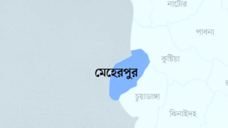 মেহেরপুরে বিবাহ বহির্ভূত সম্পর্কের অভিযোগে গৃহবধূ ও যুবককে গাছে বেঁধে নির্যাতন