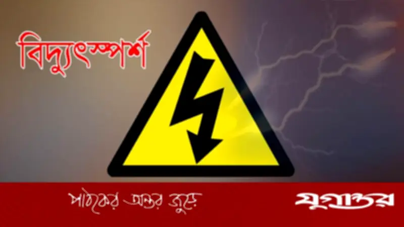 শেরপুরে ছেলেকে বাঁচাতে গিয়ে মায়ের মৃত্যু, আহত কৃষক
