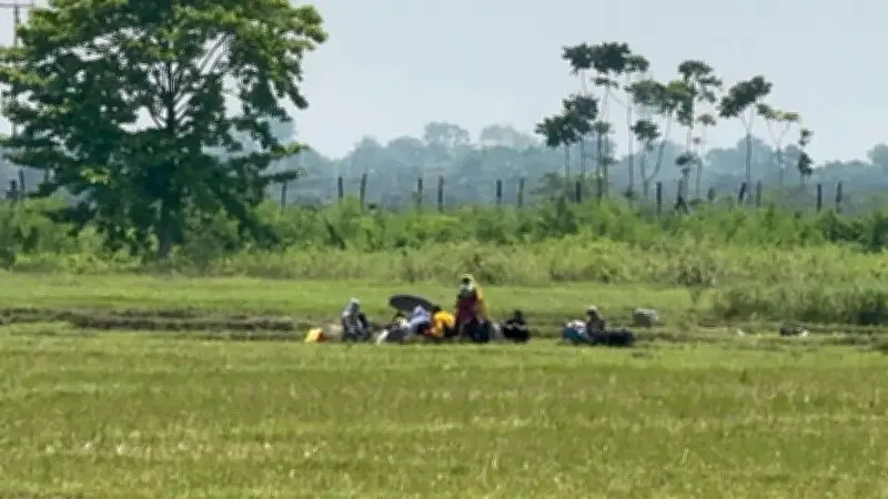 বিএসএফের ১৩ জনকে বাংলাদেশে ঠেলে পাঠানোর চেষ্টা, বিজিবির প্রতিরোধ