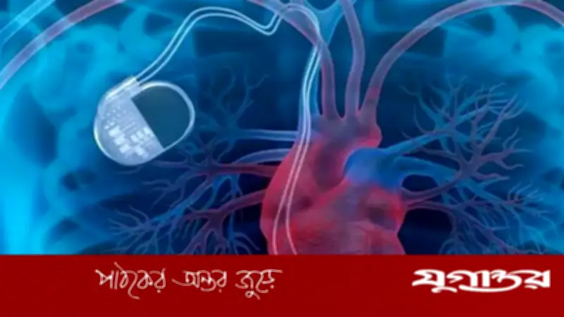 হৃদযন্ত্রের প্রাকৃতিক পেসমেকার তৈরিতে চীনের সাফল্য
