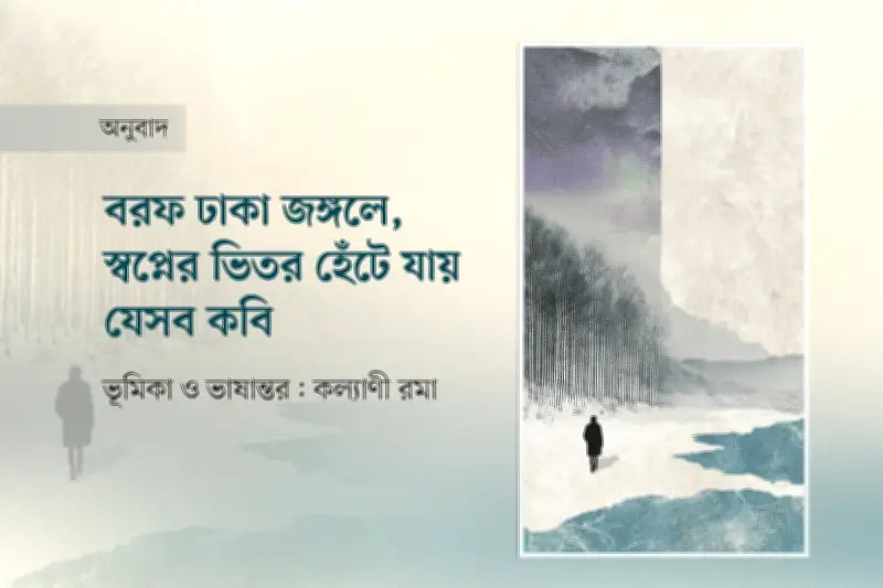 নর্ডিক কবিতার জাদু: প্রকৃতি, প্রেম ও বিষণ্নতার অপূর্ব মেলবন্ধন