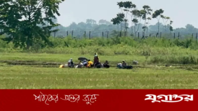 সীমান্তের শূন্যরেখায় ১০ নারী-পুরুষ ও শিশুর মানবেতর জীবন, পরিদর্শনে বিজিবি অধিনায়ক