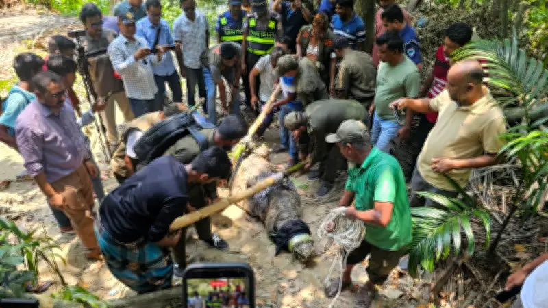 খানজাহান আলীর মাজার দিঘির কুমির সরানো হয়েছে নিরাপত্তার স্বার্থে