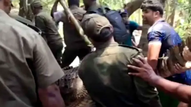 খানজাহান আলী মাজারের কুমির সরানো, বিশ্বকাপে বাংলালিংকের সম্প্রচার স্বত্ব