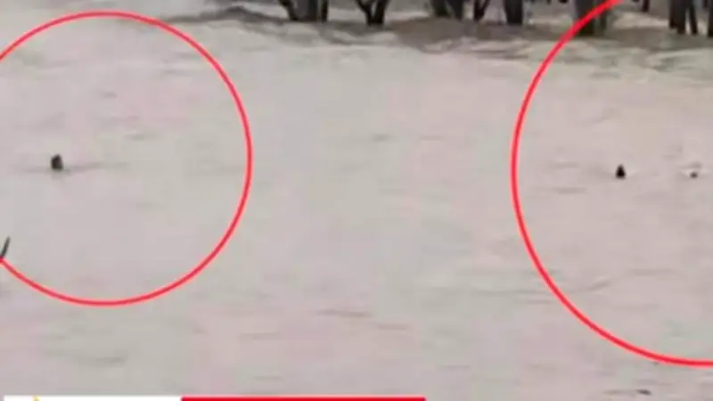 গুলিয়াখালী সৈকতে চার পর্যটককে উদ্ধার, লাল পতাকা টাঙানো