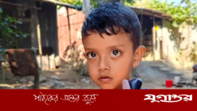 সুনামগঞ্জে সড়ক পার হতে গিয়ে কাভার্ডভ্যানে পিষ্ট হয়ে শিশু নিহত