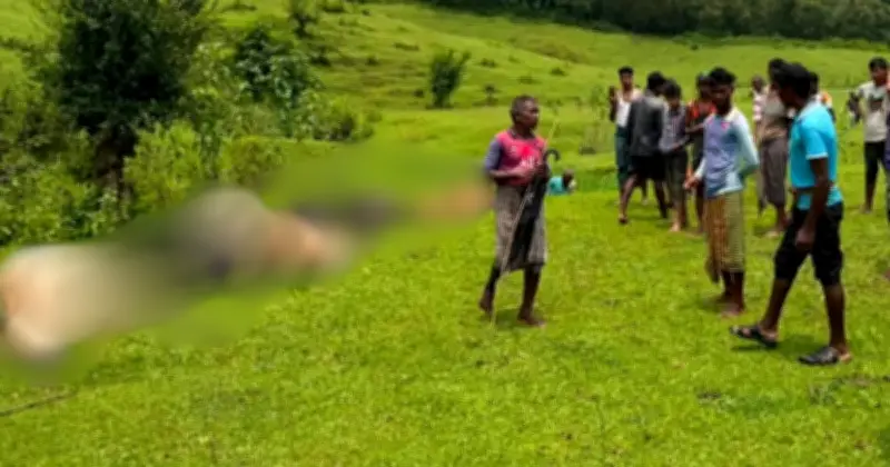 মৌলভীবাজারে বজ্রপাতে ১৪ গবাদিপশুর মৃত্যু, আর্থিক ক্ষতিগ্রস্ত কৃষকরা
