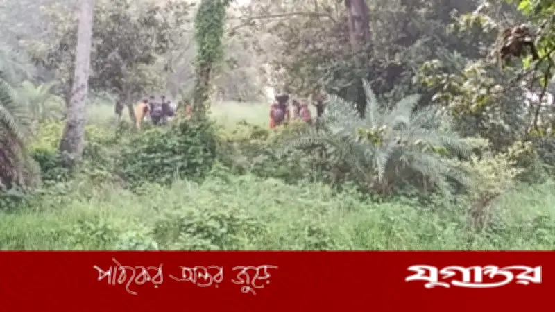 গোমস্তাপুর সীমান্তে ২৮ জনকে পুশইনের চেষ্টা, বিজিবির বাধায় ব্যর্থ