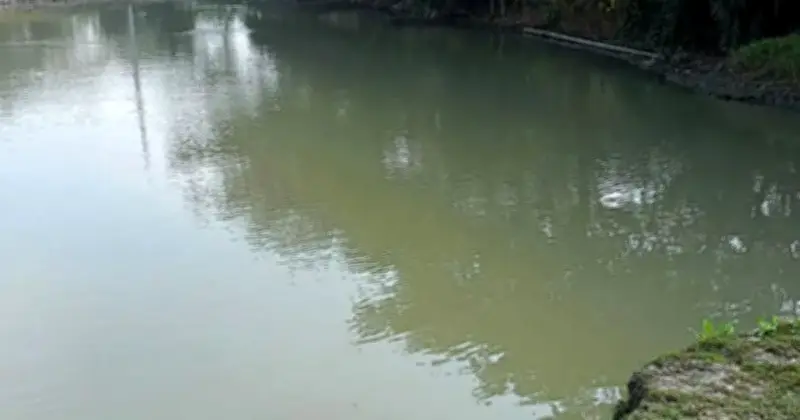 নারায়ণগঞ্জে পুকুরে ডুবে দুই ভাইয়ের মর্মান্তিক মৃত্যু