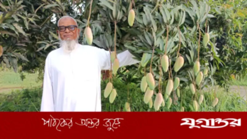 ফেনীর সোনাগাজীতে ১০২ জাতের আমের বাগান, সফল অবসরপ্রাপ্ত মেজর