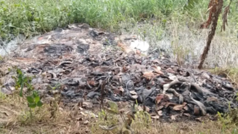 বাঞ্ছারামপুরে কোরবানির চামড়ায় দুর্গন্ধ, ভোগান্তি