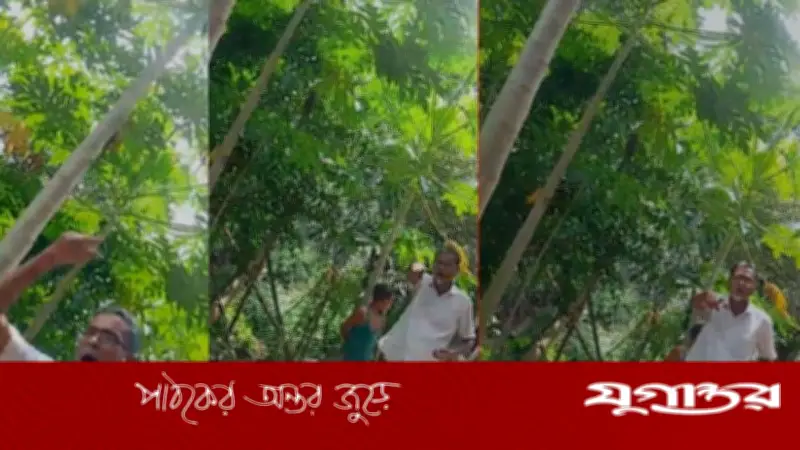 লোহাগাড়ায় সাংবাদিকের জমি দখলচেষ্টা, পরিবারকে মারধর ও হুমকি