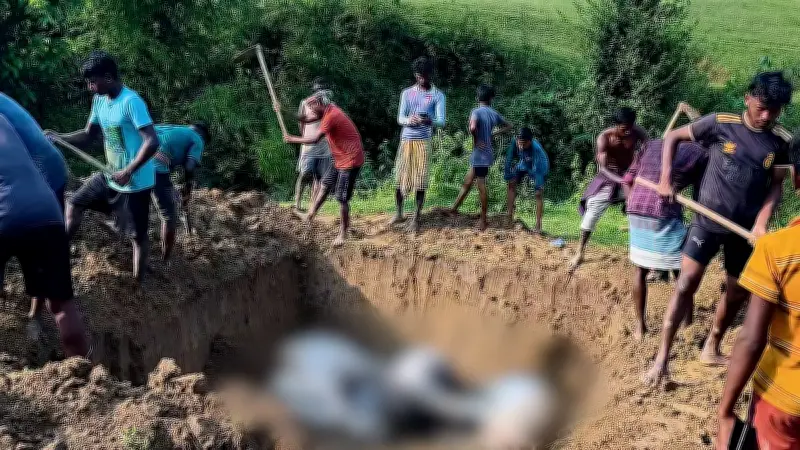 বাংলাদেশের অগ্রগতি বিশ্বে প্রশংসিত