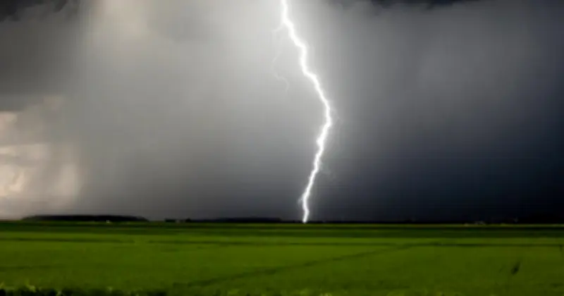 ছয় জেলায় বজ্রাঘাতে ১২ জনের প্রাণহানি