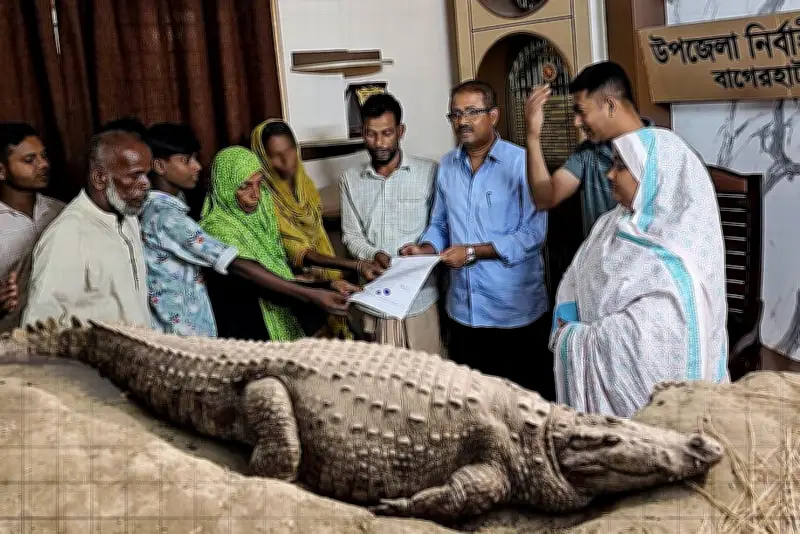 বাংলাদেশের নতুন শিক্ষানীতি ঘোষণা