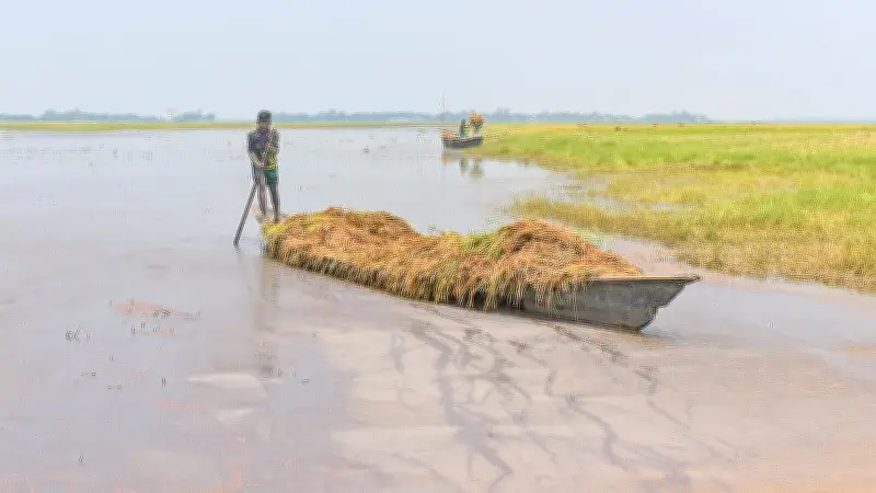 জলবায়ু সংকটে সামরিক নির্গমন তথ্য লুকোচুরি: বিশ্ব পরিবেশ দিবসে প্রতারণার অভিযোগ