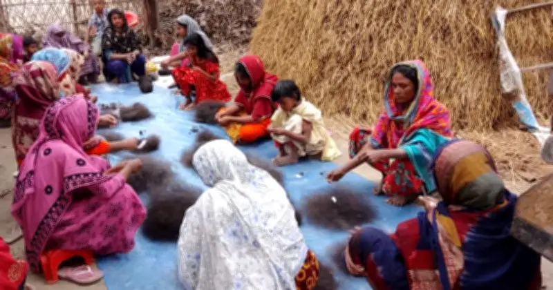 দিনাজপুরে চুল বাছাইয়ের কাজ করছেন ১৬ নারী, দৈনিক মজুরি ৭০ টাকা