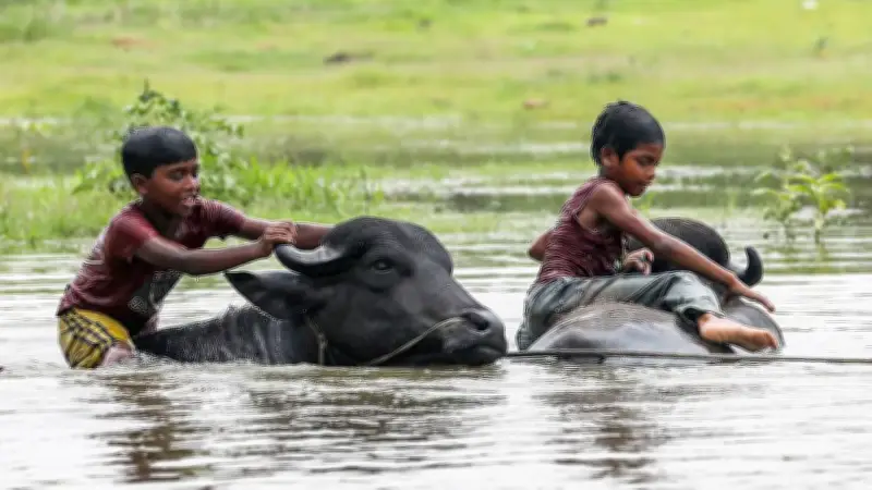 তীব্র দাবদাহে পুড়ছে ৩৮ জেলা; ডেঙ্গু লার্ভার উপদ্রব বাড়ছে