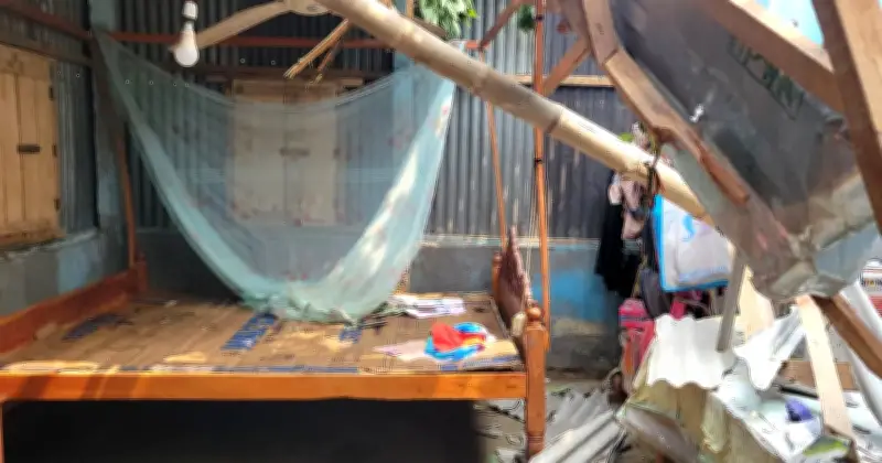 কুড়িগ্রামে কালবৈশাখী ঝড়ে গাছ উপড়ে দুই বাড়ি বিধ্বস্ত