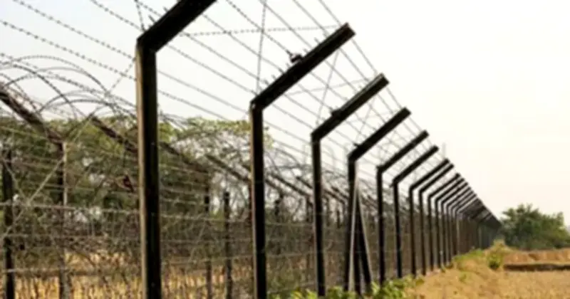 কুষ্টিয়ায় সীমান্ত এলাকা থেকে ৩ ককটেল উদ্ধার, আটক ১
