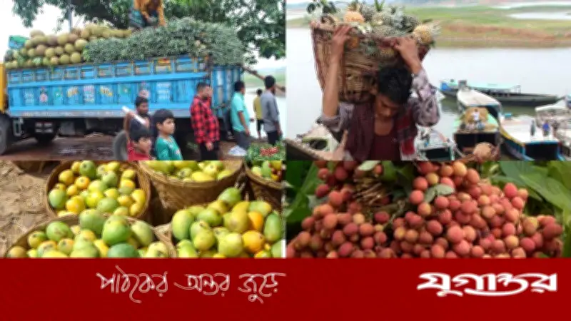 মধুমাসে মধুফলের ঘ্রাণে বিমোহিত রাঙামাটির পাহাড়