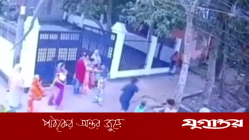 লিচুর ডাল ভাঙায় শিশুকে পানিতে নিক্ষেপ, সিসিটিভি ফুটেজ ভাইরাল