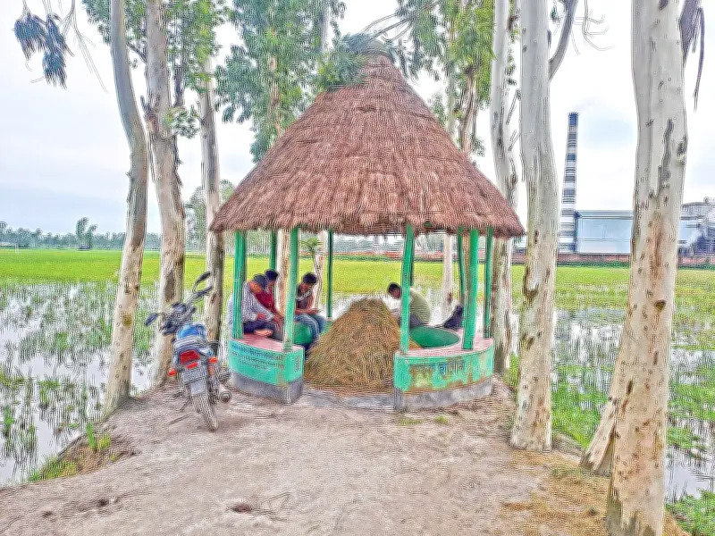 বজ্রপাত থেকে কৃষকদের রক্ষায় শিবরাম গ্রামে কৃষক ছাউনি