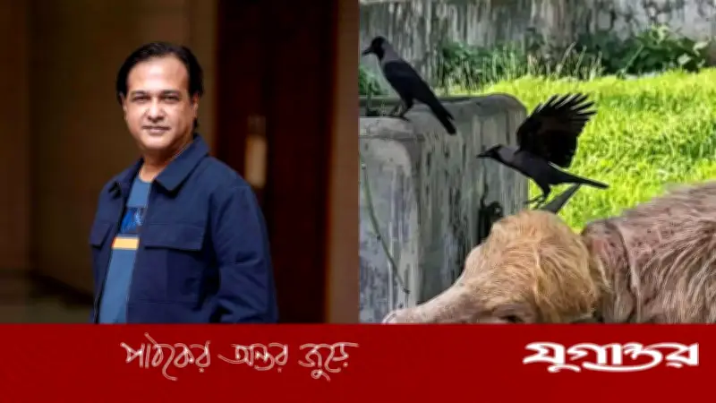 আসিফের আবেদন: প্লিজ অবুঝ প্রাণীটির প্রতি রহম করুন