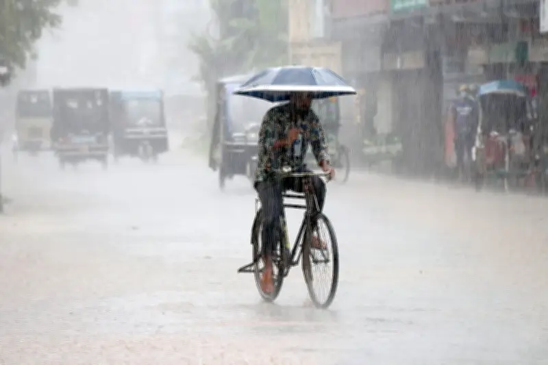 ঝুম বৃষ্টির মাঝে ছাতা মাথায় সাইকেল চালাচ্ছেন এক ব্যক্তি