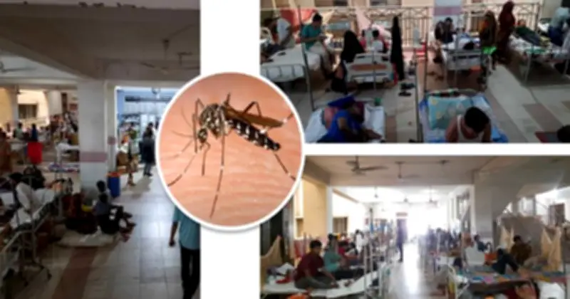 হামের ভয়াবহতার মধ্যে ডেঙ্গু উদ্বেগ বাড়াচ্ছে, শিশুর মৃত্যু