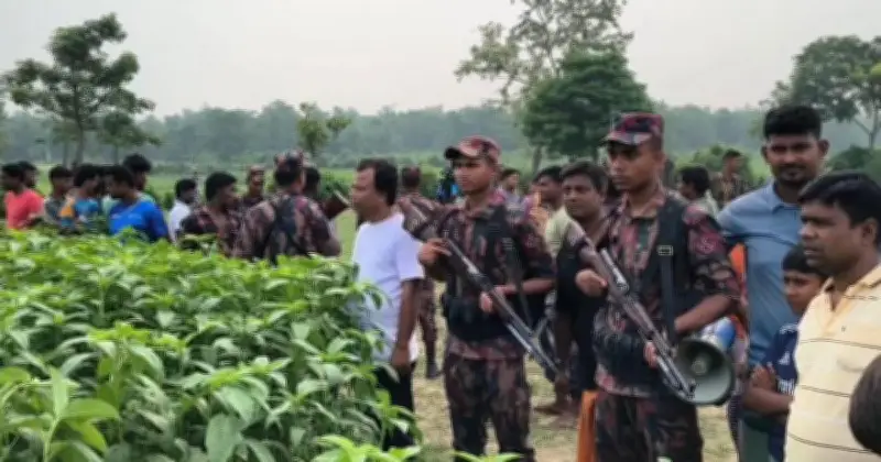 মেহেরপুর সীমান্তে বিএসএফ পুশ ইন, ছয়জনকে ফিরিয়ে নেওয়া হয়েছে