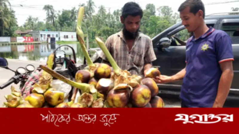 ফকিরহাটে তাল শাঁসে কোটি টাকার বাণিজ্য, গ্রামীণ অর্থনীতিতে নতুন সম্ভাবনা