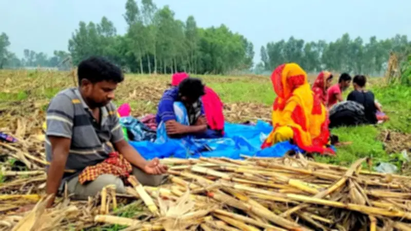 ঠাকুরগাঁও সীমান্তে পুশইন অন্তঃসত্ত্বা নারীসহ ৩৬ ঘণ্টা মানবেতর জীবন