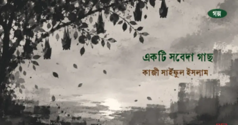 সবেদা গাছের নিচে সবুজের একাকী সন্ধ্যা